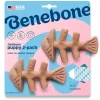 Benebone Fishbone Double Pack Dog Chew Puppy Best