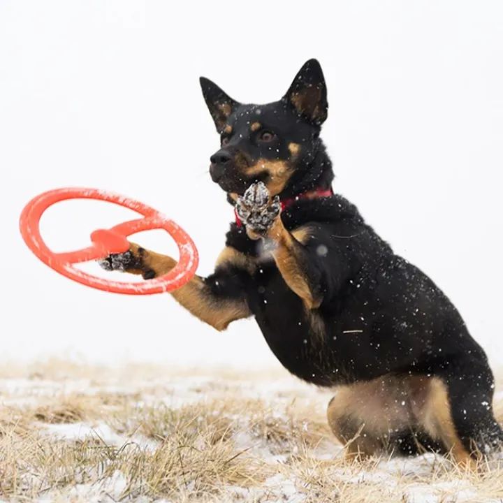 Bionic Toss-N-Tug Ring Dog Toy Discount