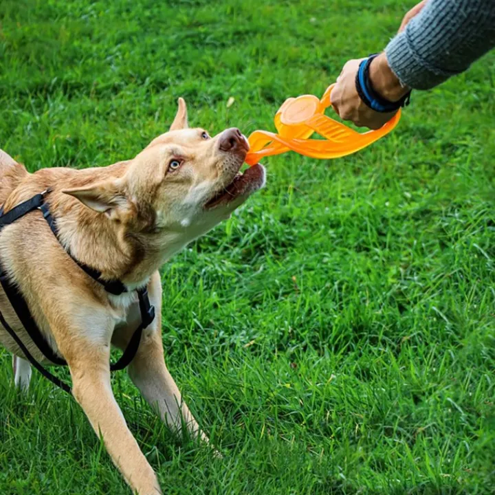 Bionic Toss-N-Tug Ring Dog Toy Discount