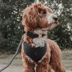 By Teddy Bouclé Adjustable Harness Midnight New