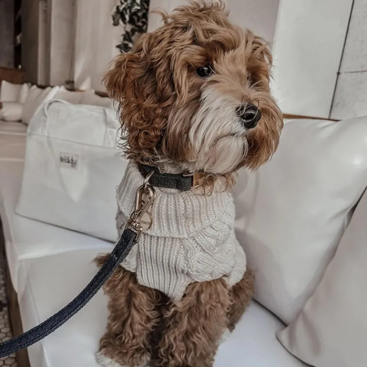 By Teddy Bouclé Adjustable Collar Midnight Clearance