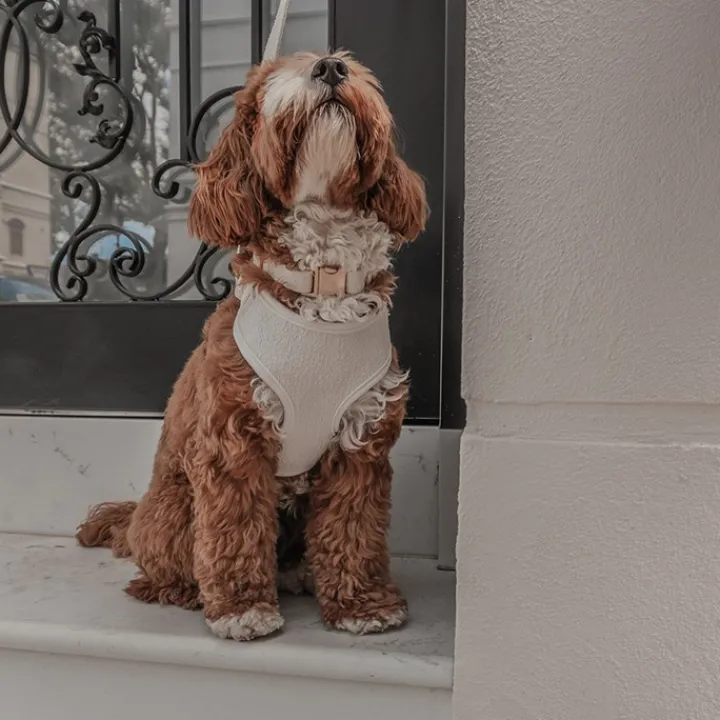 By Teddy Bouclé Adjustable Harness Marshmallow Discount