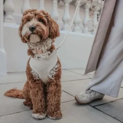 By Teddy Bouclé Adjustable Harness Marshmallow Discount