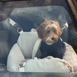 By Teddy Bouclé Car Carrier Clearance