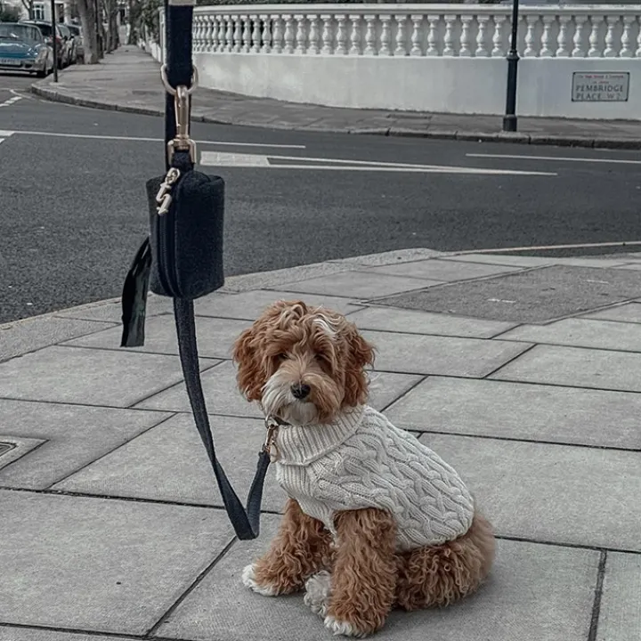 By Teddy Bouclé Dog Lead Midnight Best