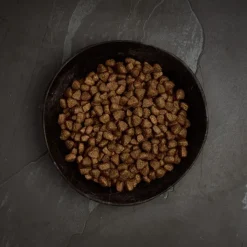 Canagan Free-Range Chicken Dry Dog Food Outlet