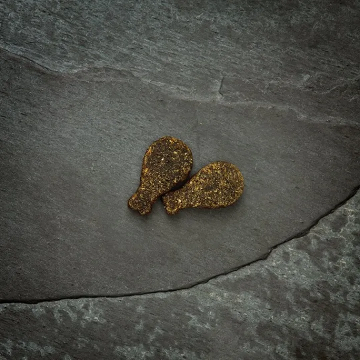 Canagan Softies Quail Dog Treats Hot