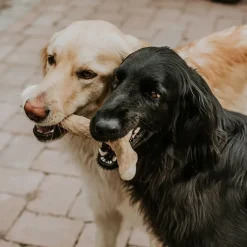 Canophera Coffee Wood Dog Chew Discount
