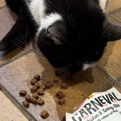 Great & Small Carneval Carneval Chicken & Turkey Urinary Care Cat Treats Hot
