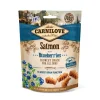 Carnilove Crunchy Dog Treats Salmon with Blueberries 200g Online