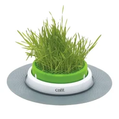 Catit Senses 2.0 Grass Planter Best
