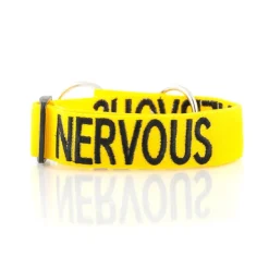 Dexil NERVOUS Awareness Dog Collar New