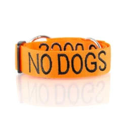 Dexil NO DOGS Awareness Dog Collar Fashion