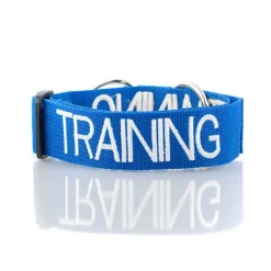 Dexil TRAINING Awareness Dog Collar Discount