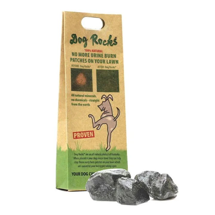 Dog Rocks New