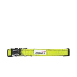 Doodlebone Padded Dog Collar Citrus Online