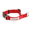 Doodley Dogs Red Plain Nylon Dog Collar Fashion