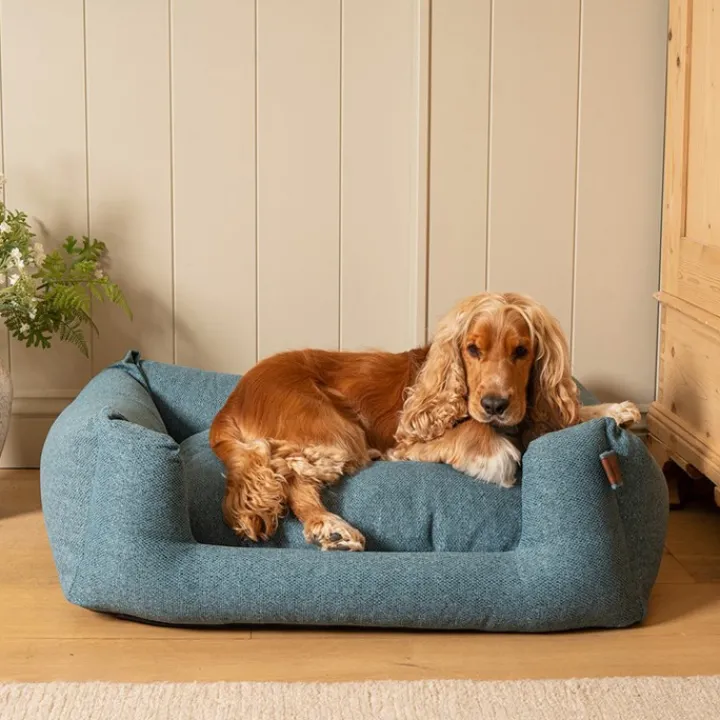 Fantail Basket Snooze Origin Cosmic Blue Dog Bed Discount
