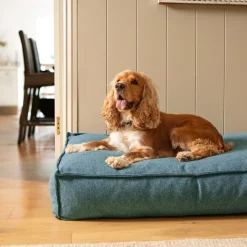 Fantail Mattress Stargaze Origin Cosmic Blue Dog Bed Online