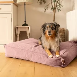 Fantail Mattress Stargaze Origin Iconic Pink Dog Bed Outlet