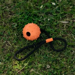 Great & Small 99% Natural Rubber Ball with Rope Dog Toy Outlet