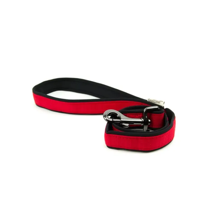 Great & Small Active Neoprene Dog Lead Red Best