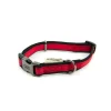 Great & Small Active Neoprene Dog Collar Red Discount