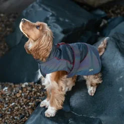 Great & Small Active Reflective Rainbow Raincoat Red Trim Dog Coat Fashion