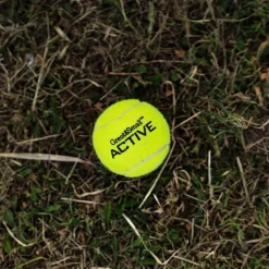 Great & Small Active Tennis Ball Dog Toy Discount