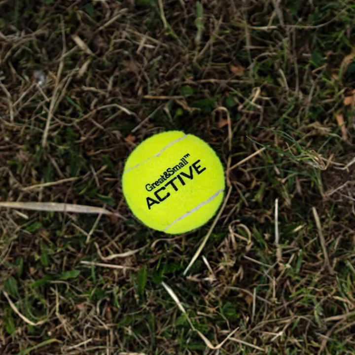 Great & Small Active Tennis Ball Dog Toy Discount