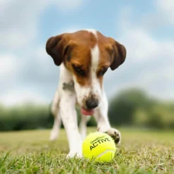 Great & Small Active Tennis Ball Dog Toy Discount