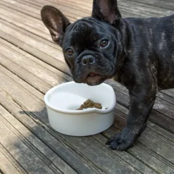 Great & Small Ceramic Flat Nosed Dog Bowl Clearance