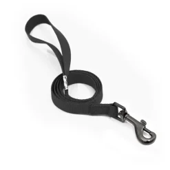 Great & Small Classic Plain Dog Lead Black Hot