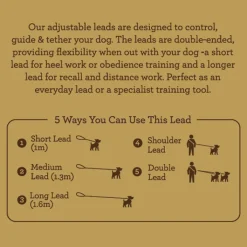 Great & Small Country Adjustable Dog Lead Forest Green Online