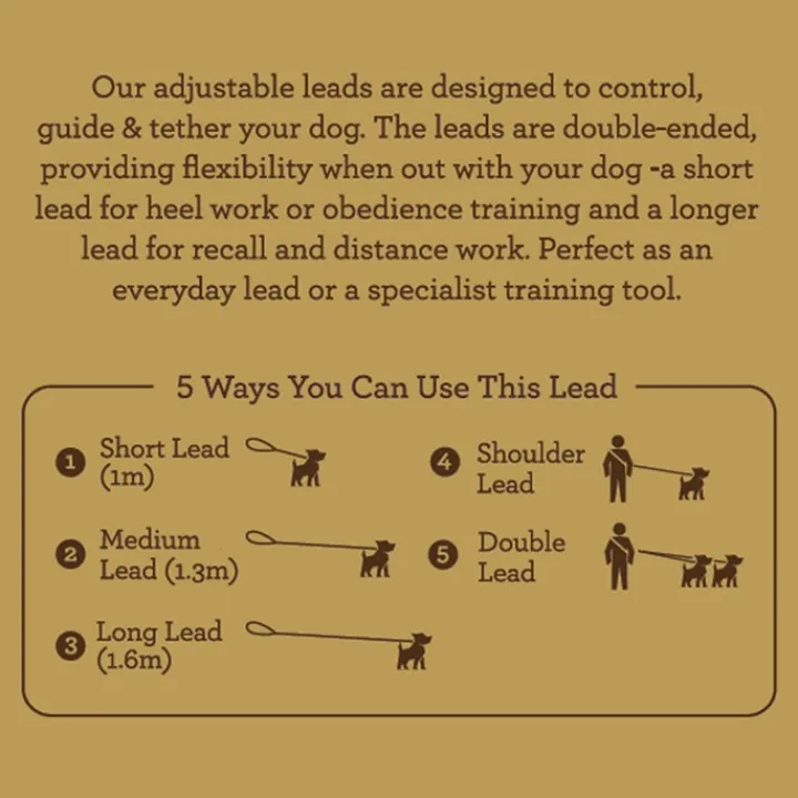 Great & Small Country Adjustable Dog Lead Forest Green Online