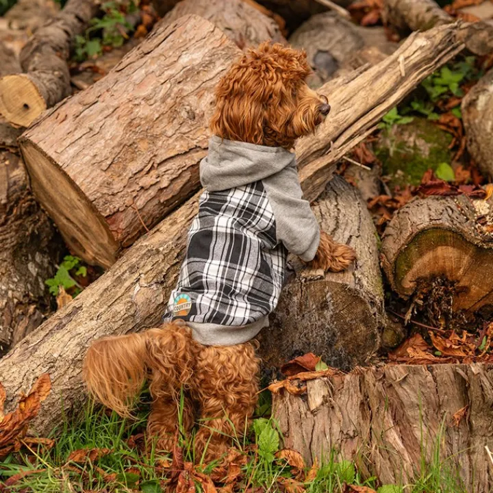 Great & Small Country Adventure Black Check Dog Hoodie Clearance
