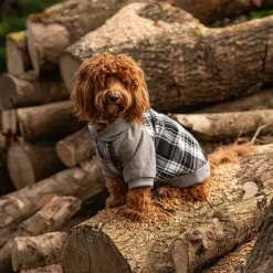 Great & Small Country Adventure Black Check Dog Hoodie Clearance