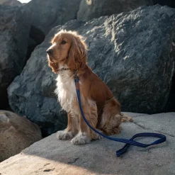 Great & Small Country Dog Lead Indigo Blue Clearance