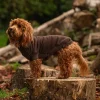 Great & Small Country Fleece Jumper Brown Dog Coat New