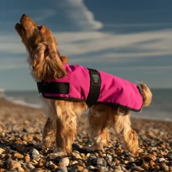 Great & Small Country Padded Raspberry Dog Coat Hot