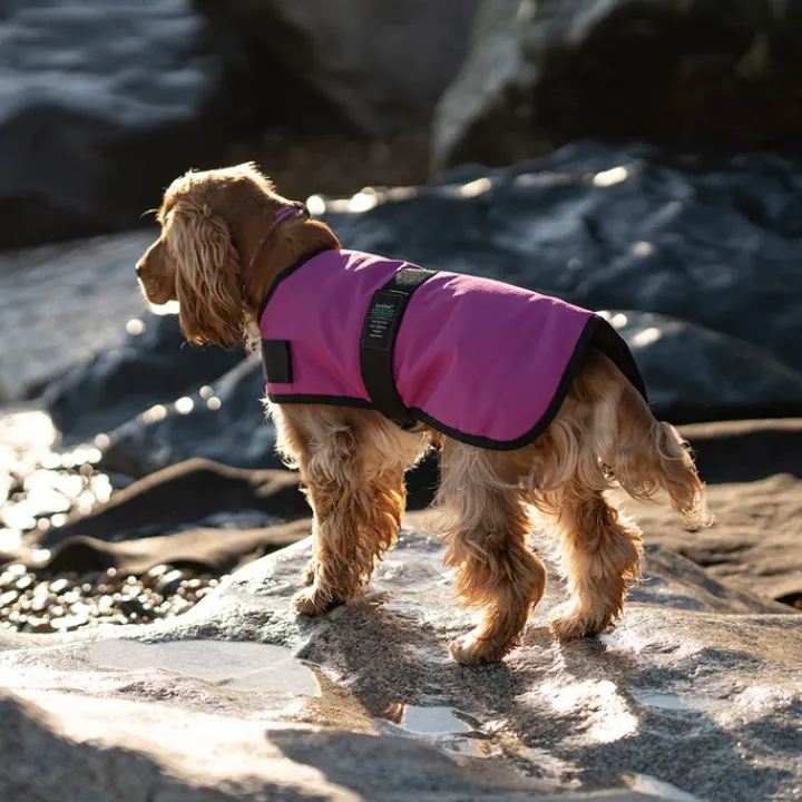 Great & Small Country Padded Raspberry Dog Coat Hot