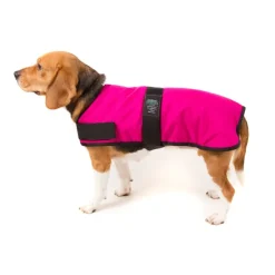 Great & Small Country Padded Raspberry Dog Coat Hot