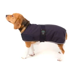 Great & Small Country Padded Blue Dog Coat Online