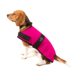 Great & Small Country Padded Raspberry Dog Coat Hot