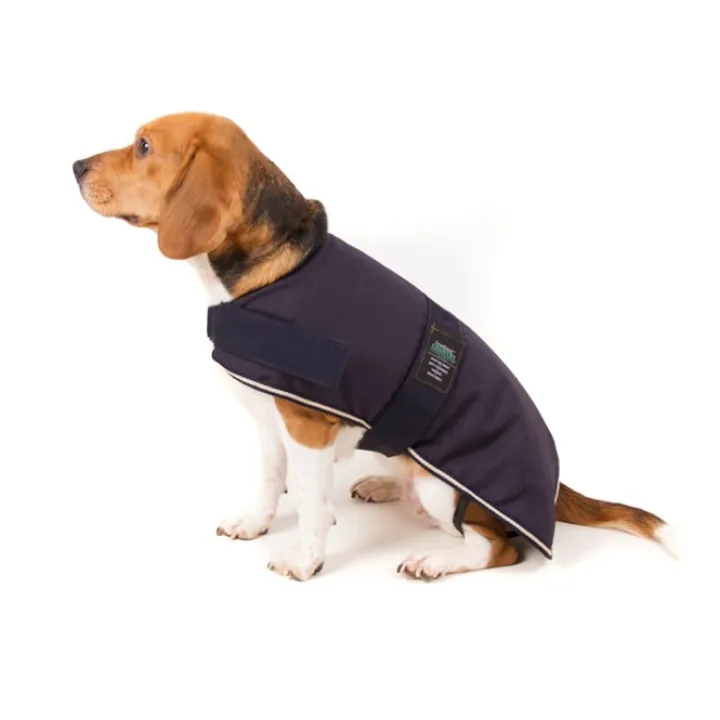 Great & Small Country Padded Blue Dog Coat Online