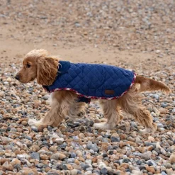 Great & Small Country Quilted Dog Coat Plaid/Navy Clearance