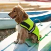 Great & Small Country Unlined Hi-Vis Dog Coat Outlet
