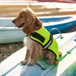 Great & Small Country Unlined Hi-Vis Dog Coat Outlet