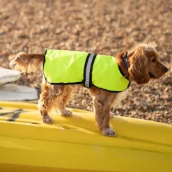 Great & Small Country Unlined Hi-Vis Dog Coat Outlet