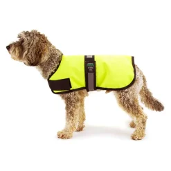 Great & Small Country Unlined Hi-Vis Dog Coat Outlet